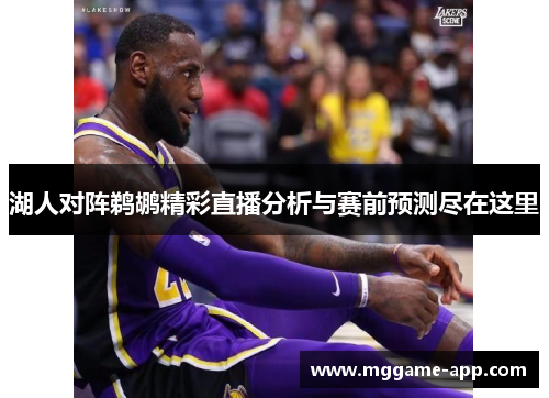 湖人对阵鹈鹕精彩直播分析与赛前预测尽在这里